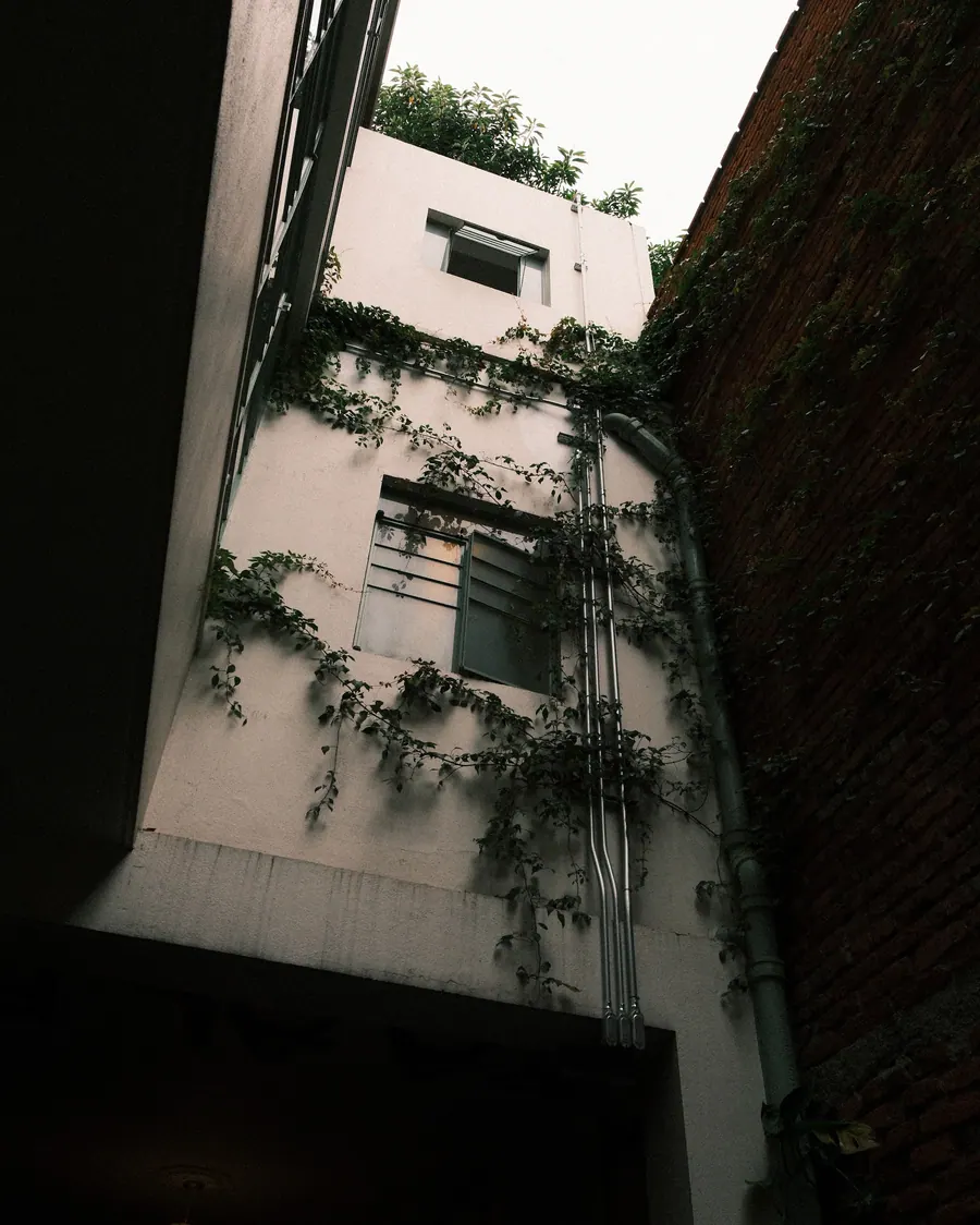 Casa Koti facade with vines